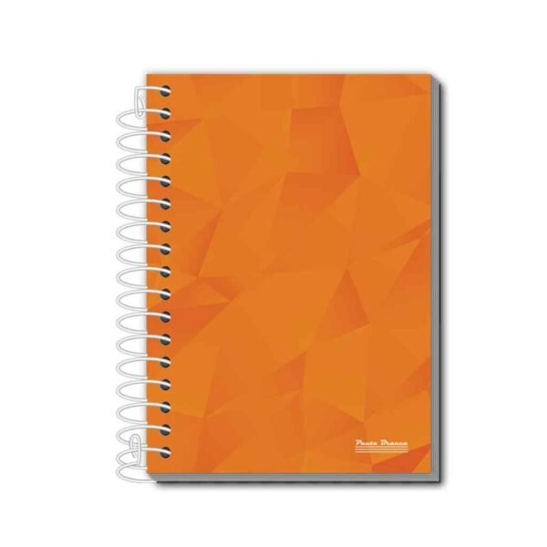 CADERNO ANOTACOES ESPIRAL 48F